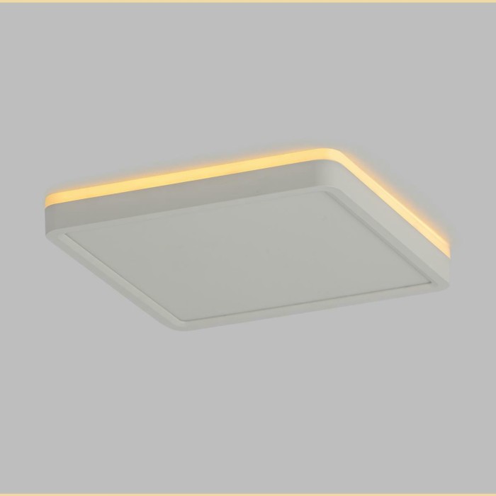 Потолочный светодиодный светильник Citilux Norma CL748K200