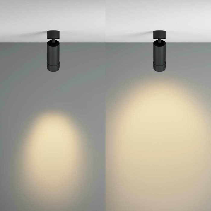 Потолочный светильник Maytoni Technical C055CL-L12W2.7K-Z-B