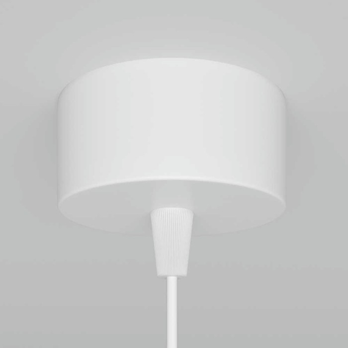 Подвесной светильник Maytoni Technical Focus P075PL-01W