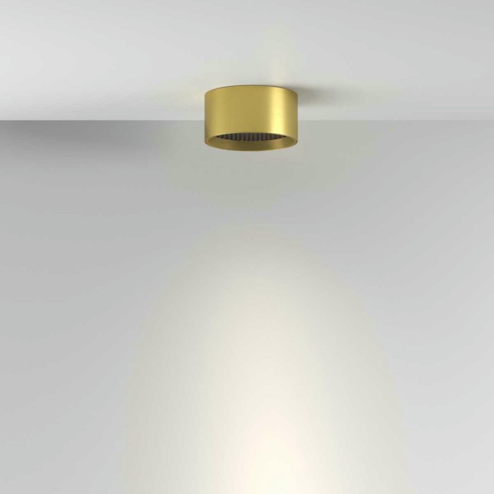 Потолочный светильник Maytoni Technical C122CL-L7-4K-BS