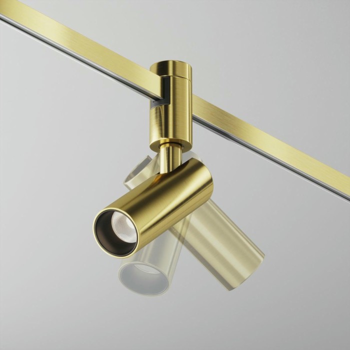 Трековый светодиодный светильник Maytoni Flarity Focus Led TR144-1-5W4K-W-BS