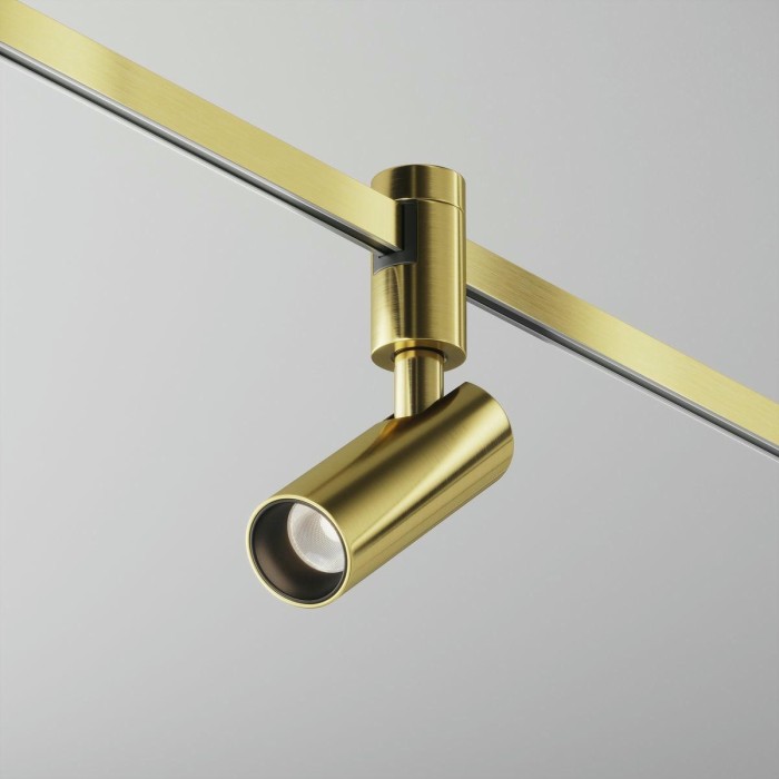 Трековый светодиодный светильник Maytoni Flarity Focus Led TR144-1-5W4K-W-BS