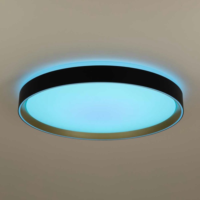 Потолочный светодиодный светильник Citilux Boss CL751451G