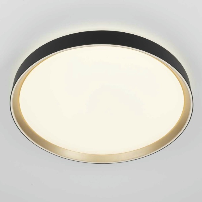 Потолочный светодиодный светильник Citilux Boss CL751451G