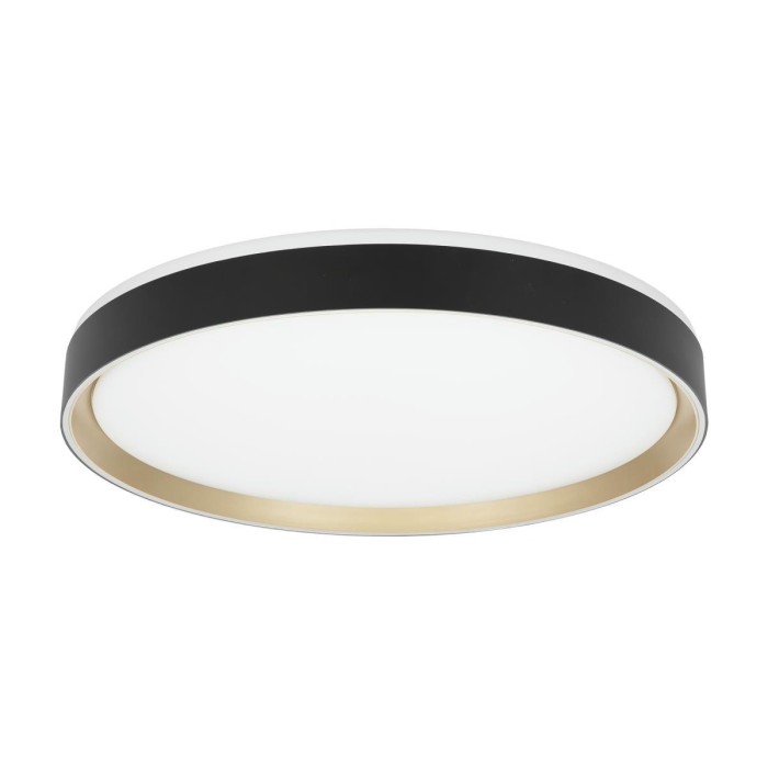 Потолочный светодиодный светильник Citilux Boss CL751451G