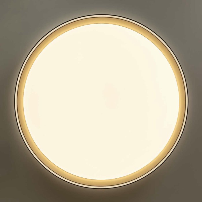 Потолочный светодиодный светильник Citilux Boss CL751451G