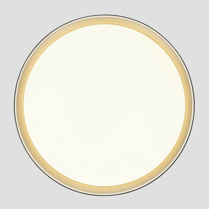 Потолочный светодиодный светильник Citilux Boss CL751451G