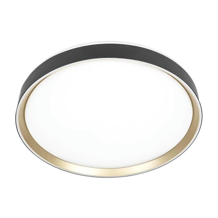 Потолочный светодиодный светильник Citilux Boss CL751451G