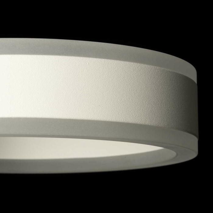 Светильник настенный Citilux Дуэт CL719310