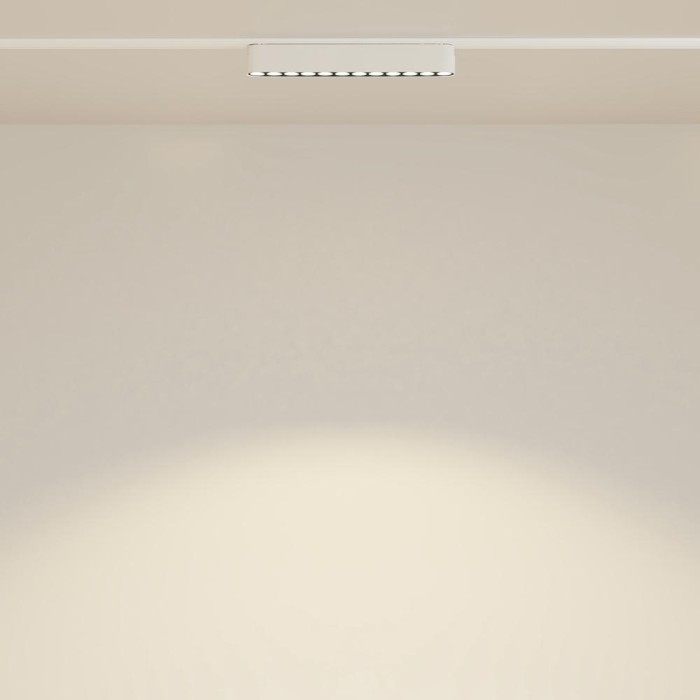 Трековый светодиодный светильник Maytoni Technical Radity Points TR082-1-12W3K-M-W