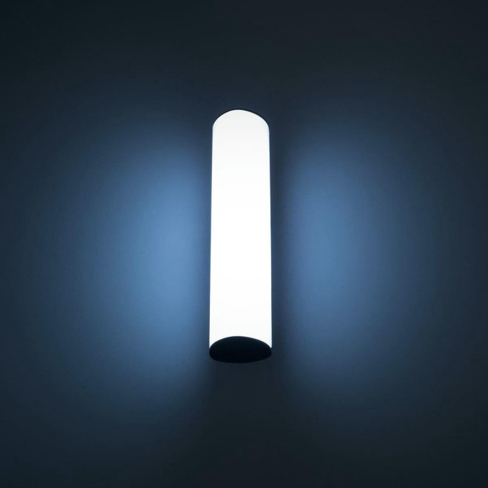 Уличный настенный светодиодный светильник Citilux CLU0007