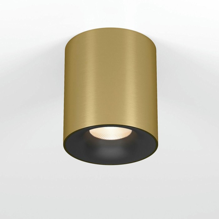 Потолочный светодиодный светильник Elektrostandard Primo 25116/LED a069413