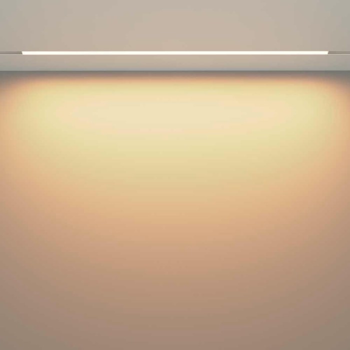 Трековый светодиодный светильник Maytoni Technical Exility Basis TR030-2-30W3K-W