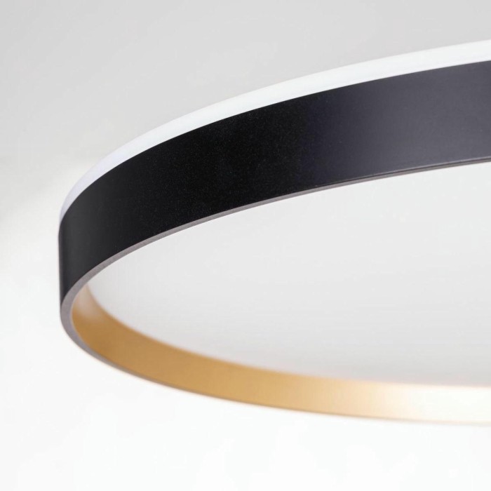 Светильник с пультом Citilux ETALON CL750501R