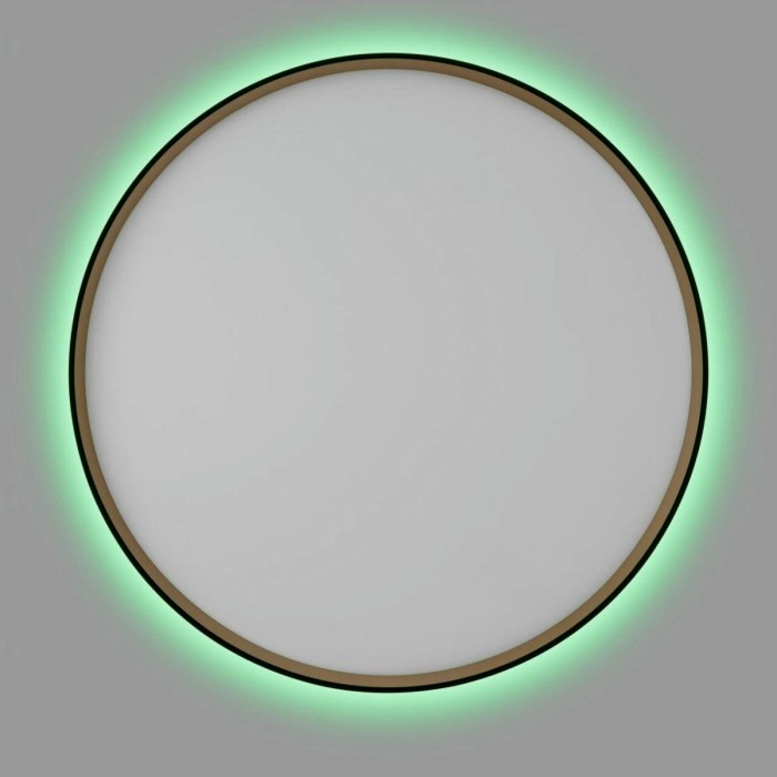 Светильник с пультом Citilux ETALON CL750501R