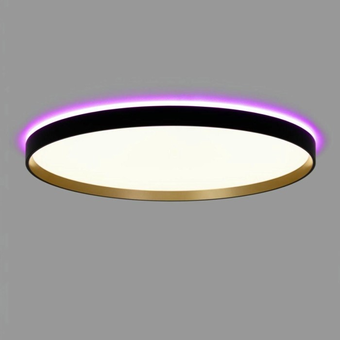 Светильник с пультом Citilux ETALON CL750501R