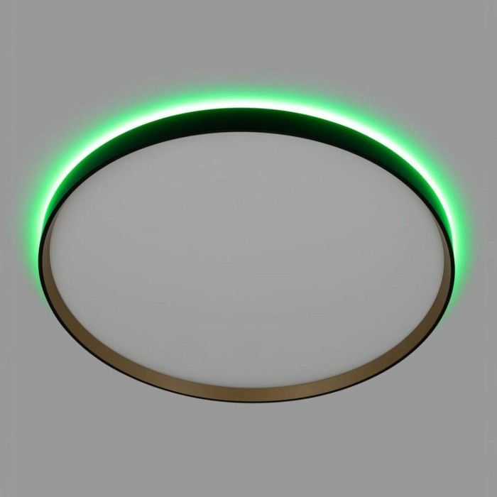 Светильник с пультом Citilux ETALON CL750501R