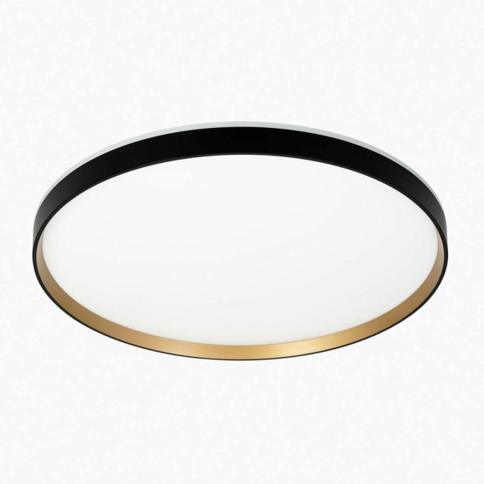 Светильник с пультом Citilux ETALON CL750501R