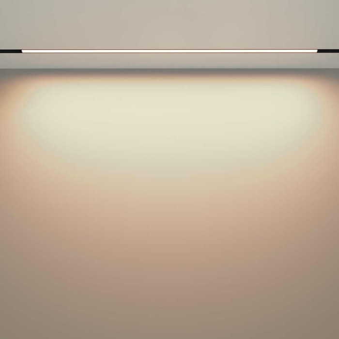 Трековый светодиодный светильник Maytoni Technical Exility Basis TR030-2-30W3K-B