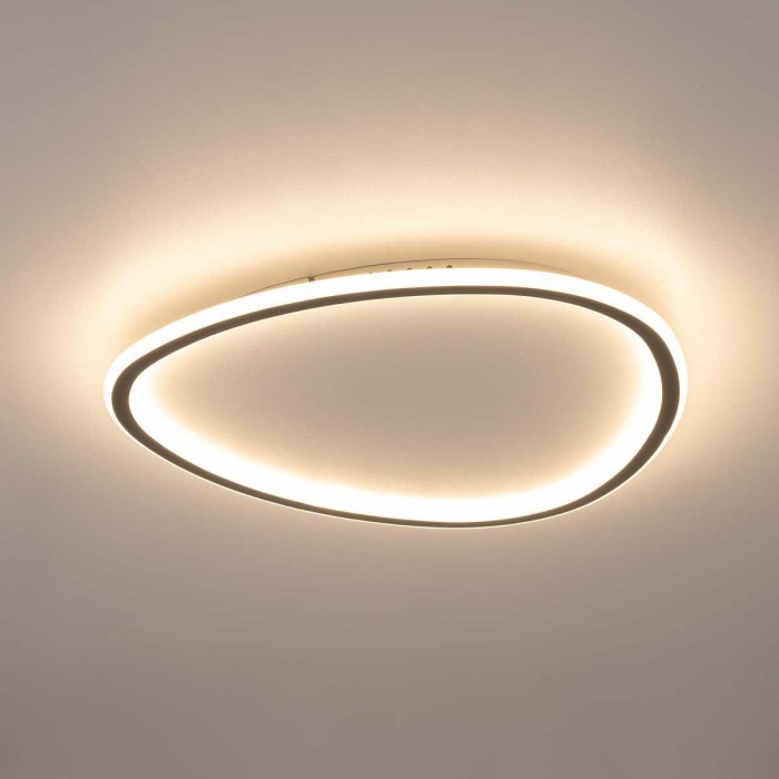 Потолочный светодиодный светильник Citilux Trio CL215B251E