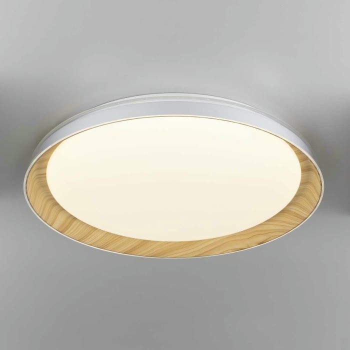 Потолочный светодиодный светильник Citilux Mega CL752452G