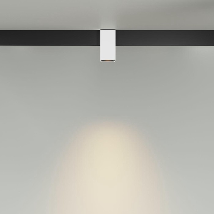 Трековый светодиодный светильник Maytoni Technical Magnetic Exility Alfa TR121-2-7W3K-W