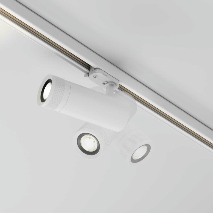 Трековый светодиодный светильник Maytoni Technical Focus Zoom TR198-3-20W4K-Z-W