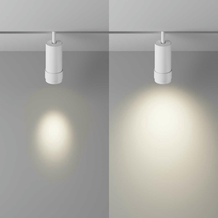 Трековый светильник Maytoni Technical TR212-4-12WTW-Z-DSZ-W