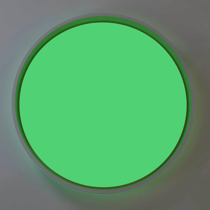 Светильник потолочный Citilux ENZO CL753510G