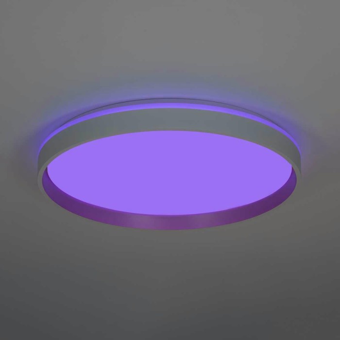 Светильник потолочный Citilux ENZO CL753510G