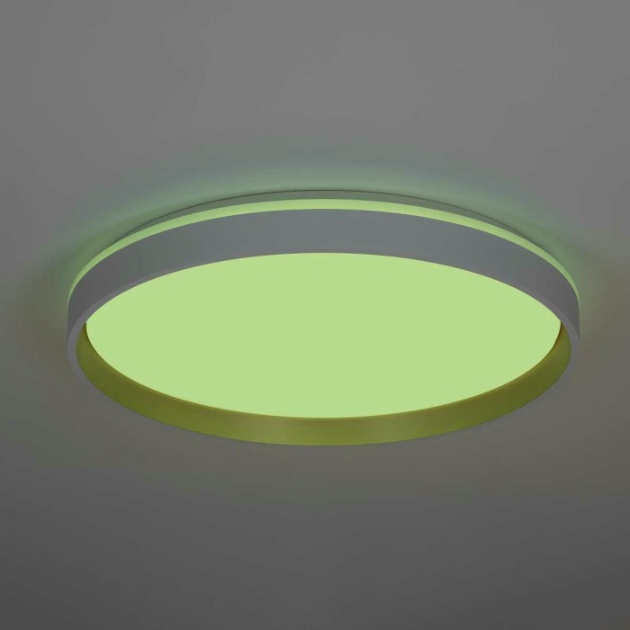 Светильник потолочный Citilux ENZO CL753510G