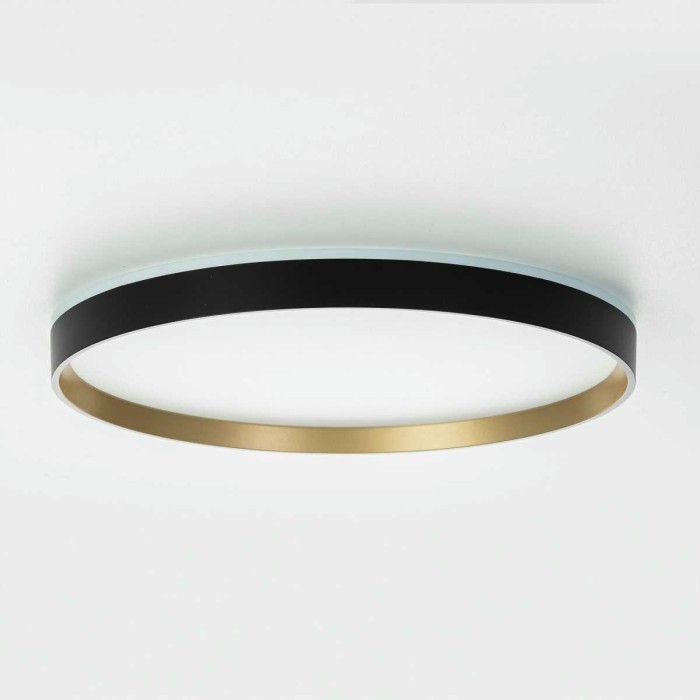 Потолочный светильник Citilux ETALON CL750401R