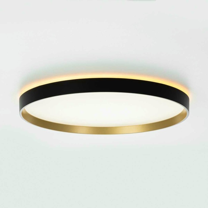 Потолочный светильник Citilux ETALON CL750401R