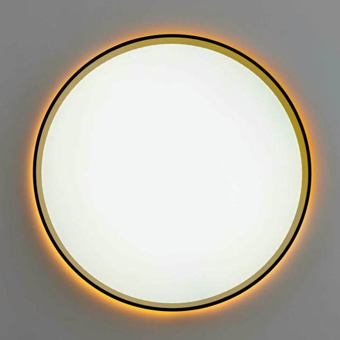 Потолочный светильник Citilux ETALON CL750401R