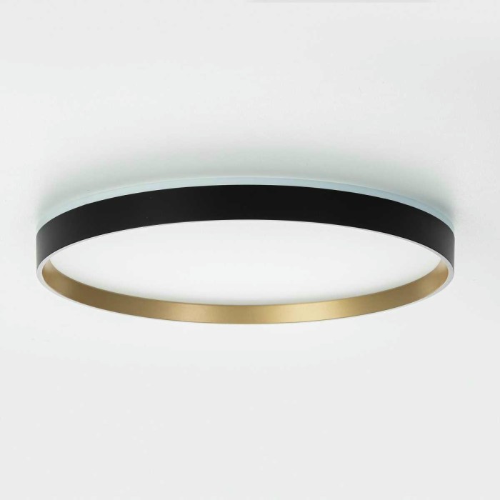 Потолочный светильник Citilux ETALON CL750401R