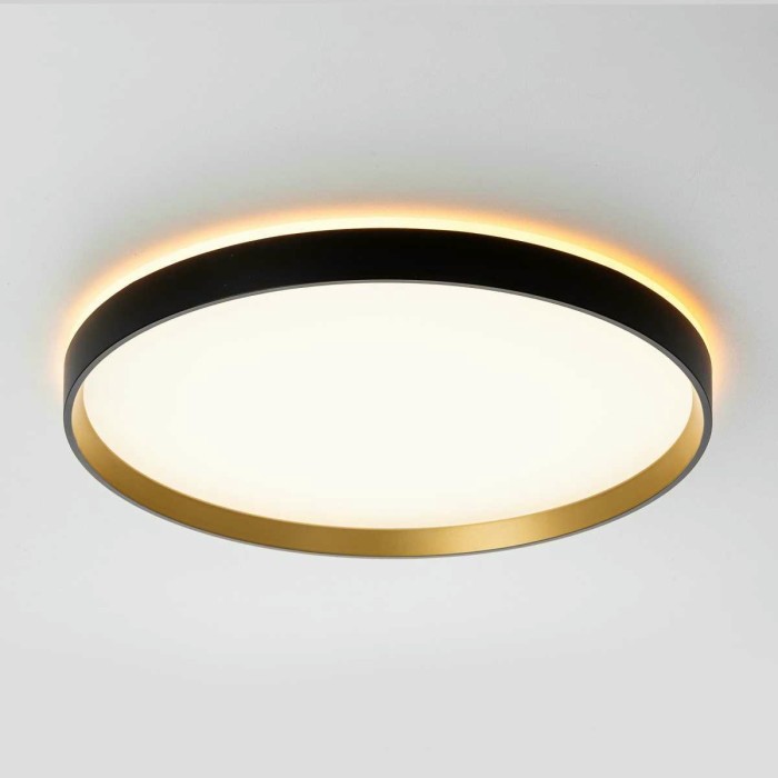 Потолочный светильник Citilux ETALON CL750401R