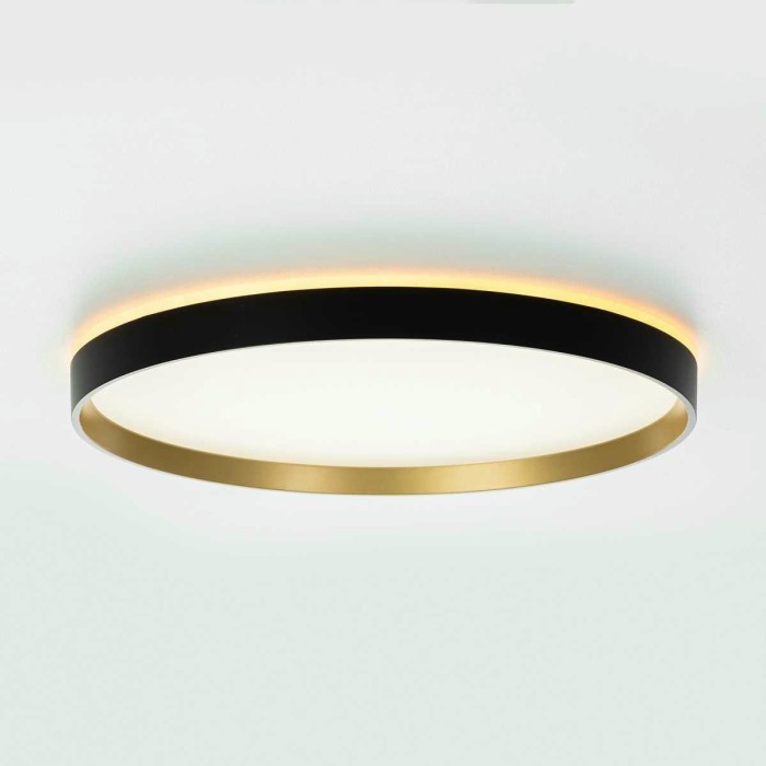 Потолочный светильник Citilux ETALON CL750401R