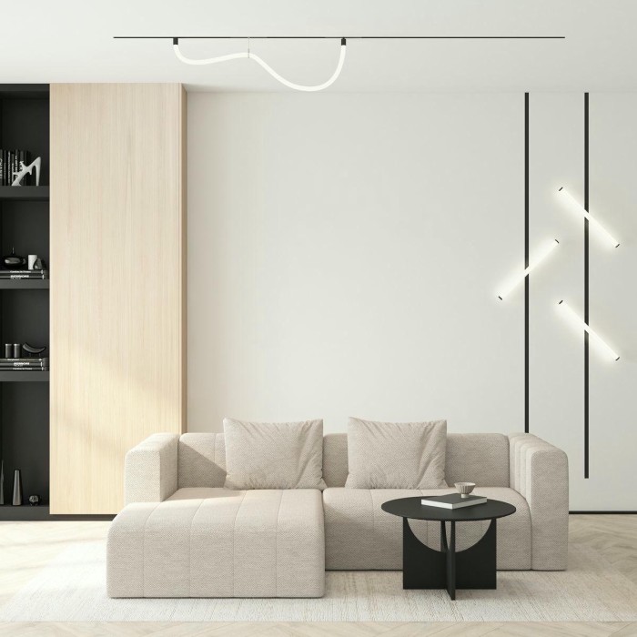 Трековый светодиодный светильник Denkirs Smart Ray DK8060-BK