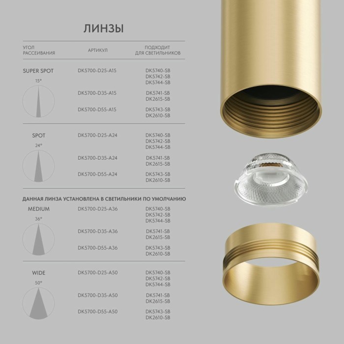 Трековый светодиодный светильник Denkirs Shine Spot DK5742-SB