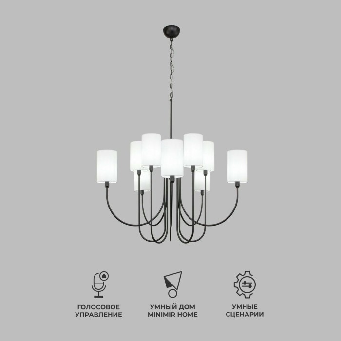 Подвесная люстра Eurosvet Abbey 60164/10 черный Smart