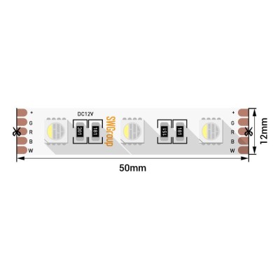 Светодиодная лента SWG 19,2W/m 60Led/m 5050SMD RGB/холодный белый 5M SWG560-12-19.2-RGB+W-M 009713