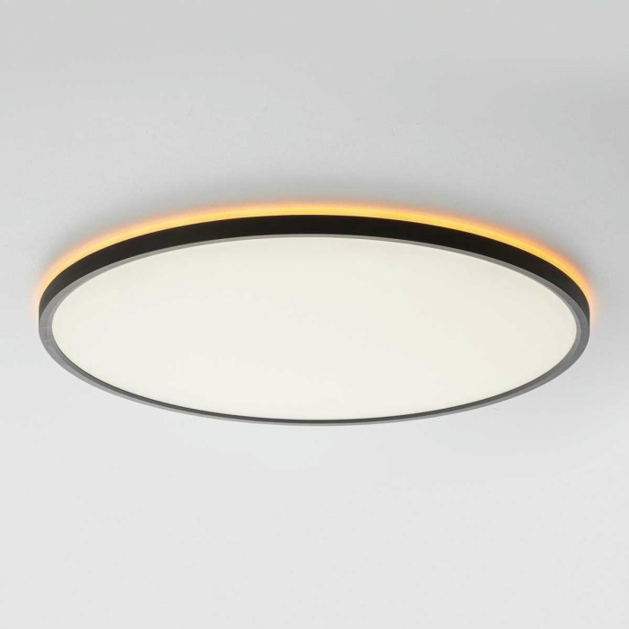 Потолочный светильник Citilux NORMA CL749501