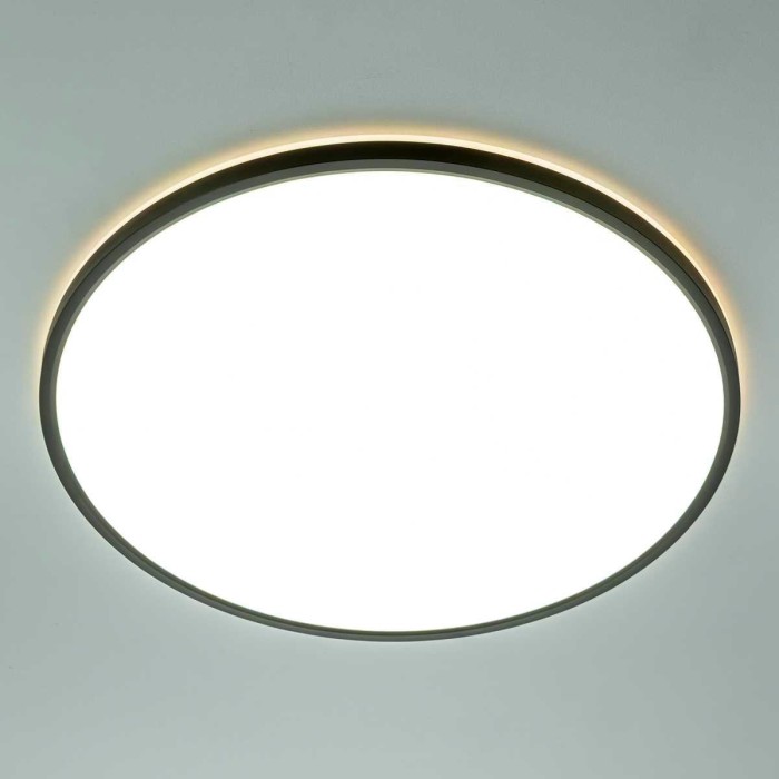 Потолочный светильник Citilux NORMA CL749501