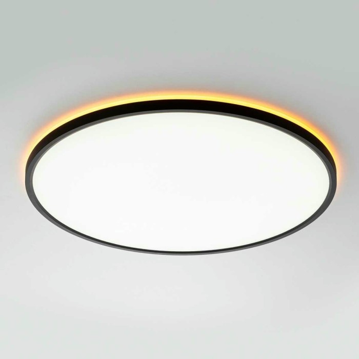 Потолочный светильник Citilux NORMA CL749501