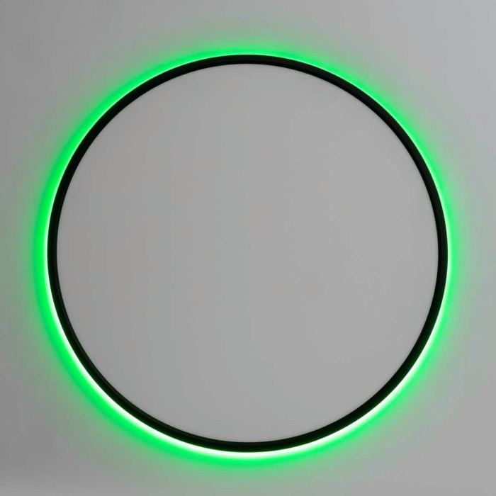 Потолочный светильник Citilux NORMA CL749501