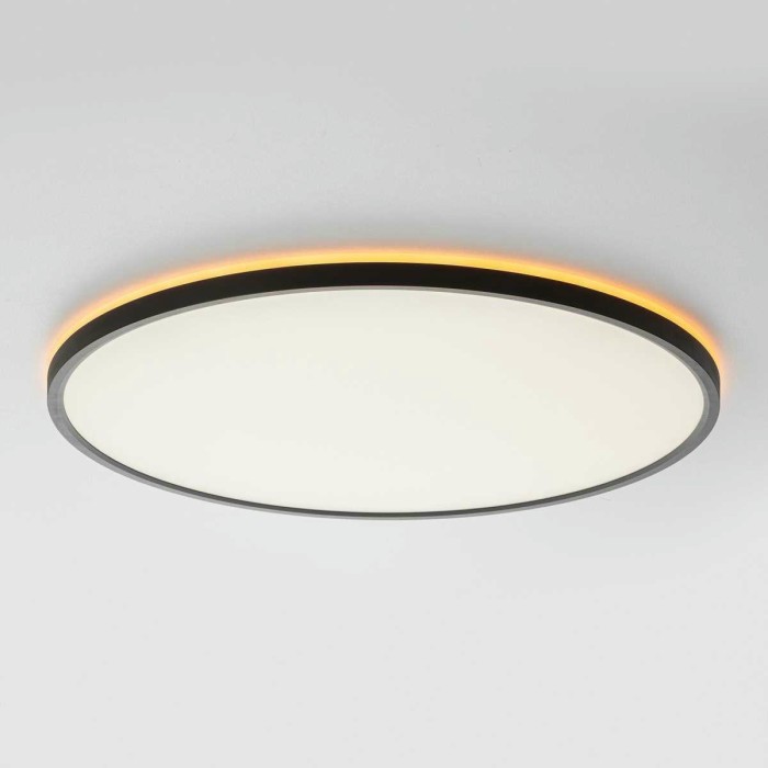 Потолочный светильник Citilux NORMA CL749501