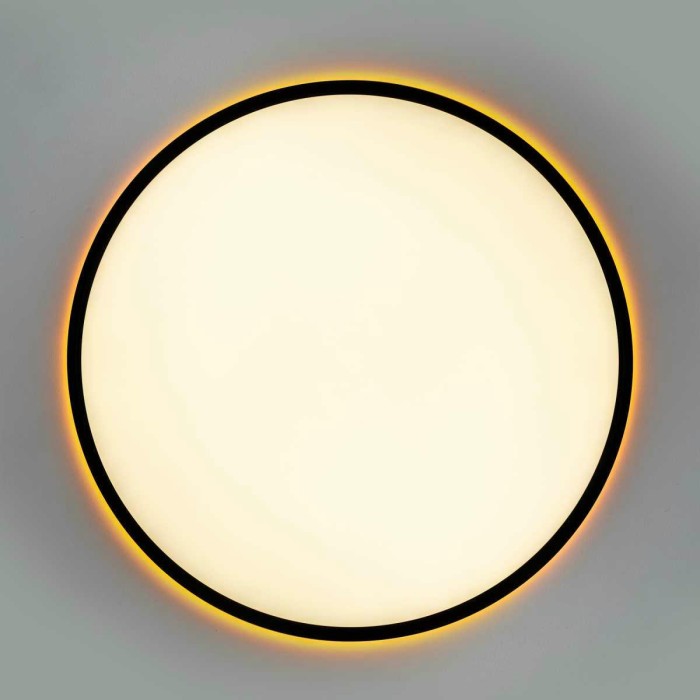 Потолочный светильник Citilux NORMA CL749501