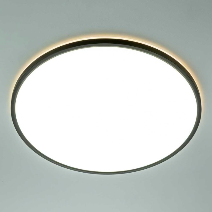 Потолочный светильник Citilux NORMA CL749501