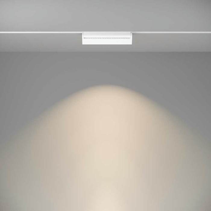 Трековый светодиодный светильник Maytoni Technical Basis Rot TR075-2-20W4K-W