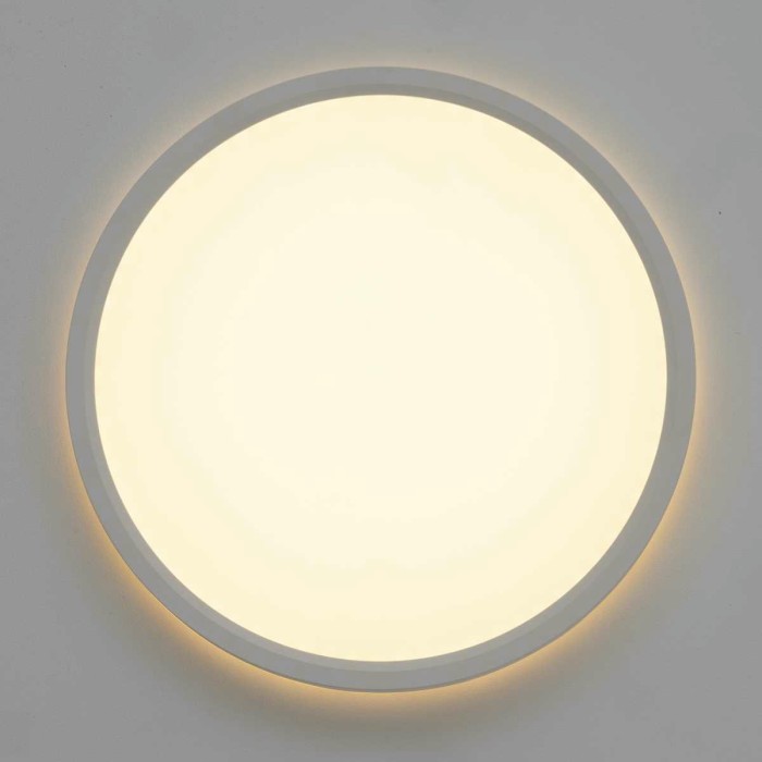 Потолочный светодиодный светильник Citilux Norma CL748240